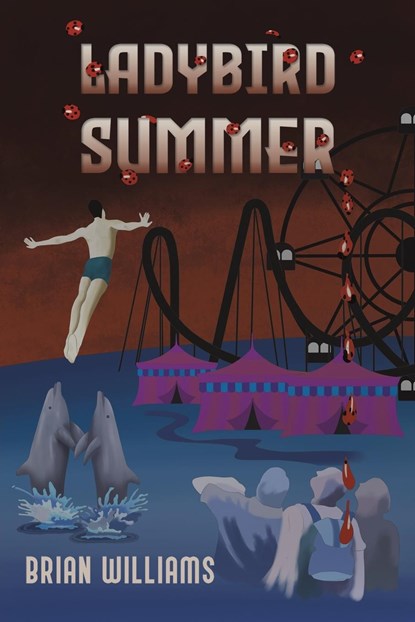 Ladybird Summer, Brian Williams - Paperback - 9781398462748