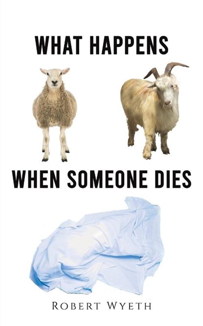 What Happens When Someone Dies, Robert Wyeth - Paperback - 9781398466326