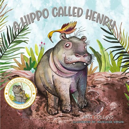 A Hippo Called Henry, PRG Collins - Paperback - 9781398467422