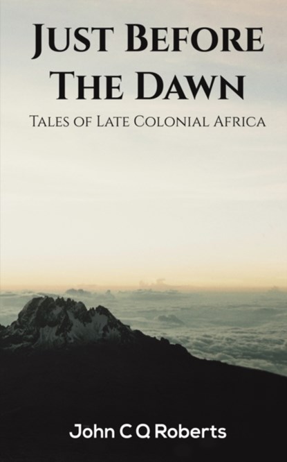 Just Before the Dawn, John C Q Roberts - Paperback - 9781398485396