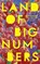 Land of Big Numbers, Te-Ping Chen - Paperback - 9781398503366