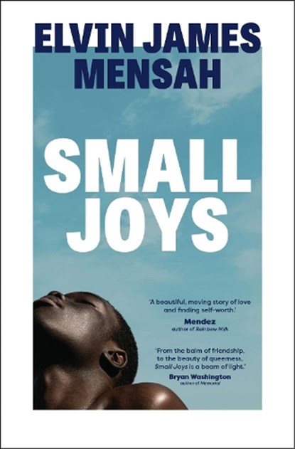 Small Joys, Elvin James Mensah - Paperback - 9781398514911