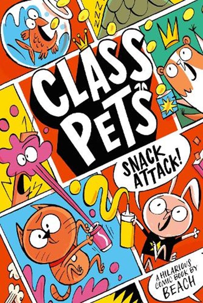 Class Pets, Beach - Paperback - 9781398532588