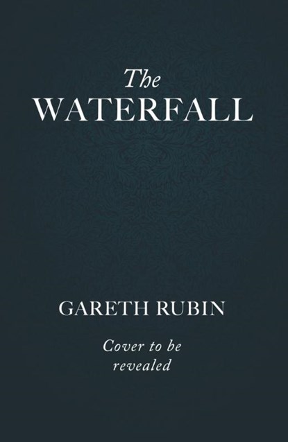 The Waterfall, Gareth Rubin - Paperback - 9781398535398