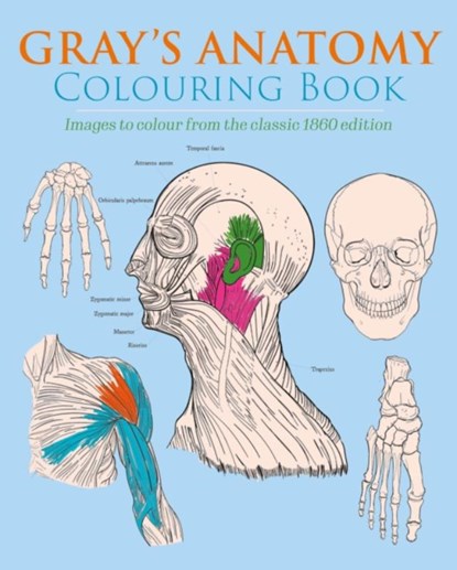 Gray's Anatomy Colouring Book, Henry Gray ; Henry Carter - Paperback - 9781398807891