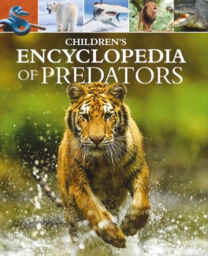 Children's Encyclopedia of Predators, Alex Woolf ; Claire Philip - Gebonden - 9781398812246