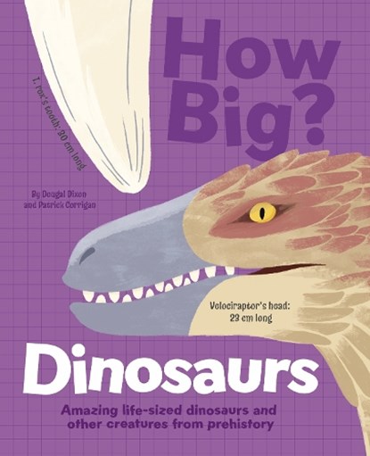 How Big? Dinosaurs, Dougal Dixon - Gebonden - 9781398828582
