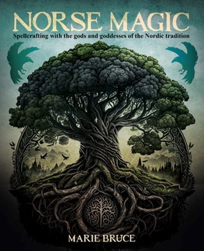 Norse Magic: Spellcrafting with the Gods and Goddesses of the Nordic Tradition, Marie Bruce - Gebonden - 9781398844018