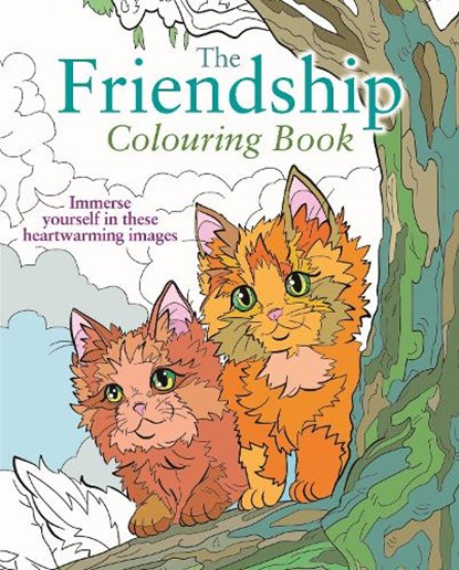 The Friendship Colouring Book, Tansy Willow - Paperback - 9781398851542