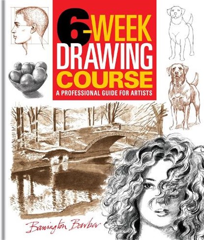 6-Week Drawing Course, Barrington Barber - Paperback - 9781398862883