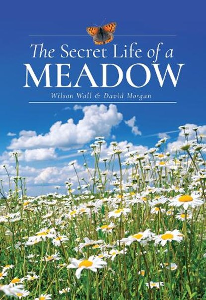 The Secret Life of a Meadow, Wilson Wall ; David Morgan - Gebonden - 9781399072540