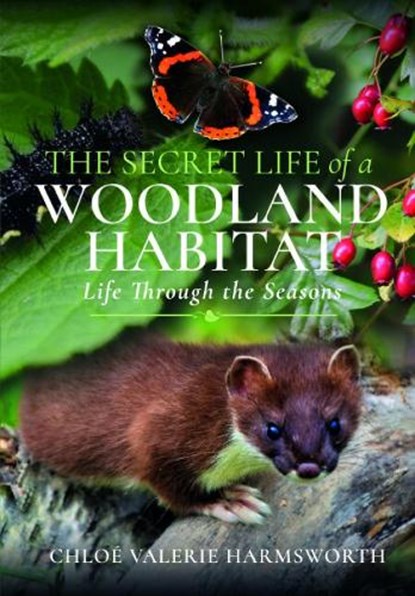 The Secret Life of a Woodland Habitat, Chloe Valerie Harmsworth - Paperback - 9781399093385