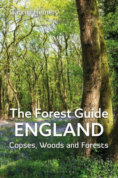 The Forest Guide: England, Gabriel Hemery - Paperback - 9781399409063