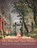 The Wise and Their Works, A. N. Wilson - Gebonden - 9781399412513