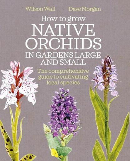 How to Grow Native Orchids in Gardens Large and Small, Wilson Wall ; Dave Morgan - Paperback - 9781399426190