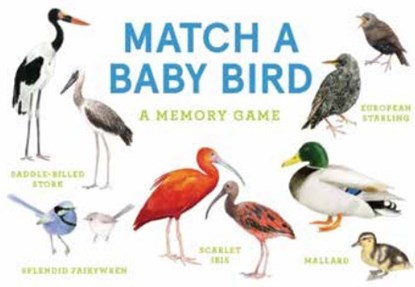Match a Baby Bird, Unwin Mike ; Berrie Christine - Losbladig - 9781399608541