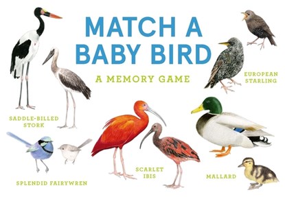Match a Baby Bird: An Avian Memory Game, Mike Unwin - Gebonden - 9781399608558