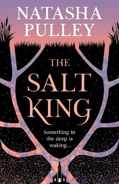 The Salt King, Natasha Pulley - Paperback - 9781399632973