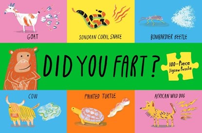 Did You Fart?, Claudia Boldt - Gebonden - 9781399635868