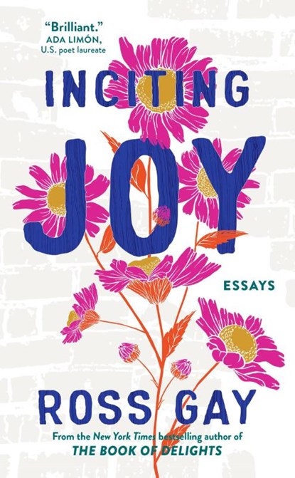 Inciting Joy, Ross Gay - Paperback - 9781399716017
