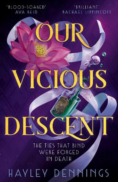 Our Vicious Descent, Hayley Dennings - Paperback - 9781399727204