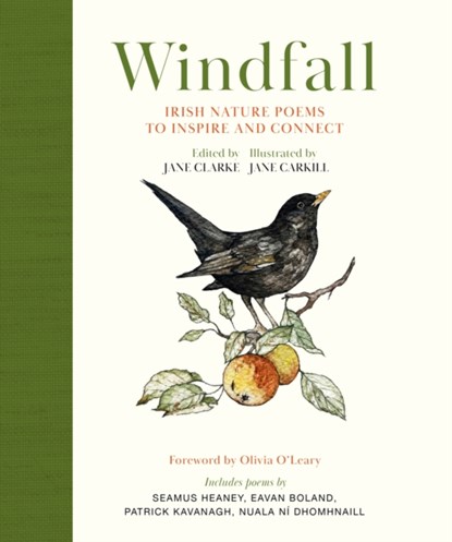 Windfall, Jane Clarke - Gebonden - 9781399729611