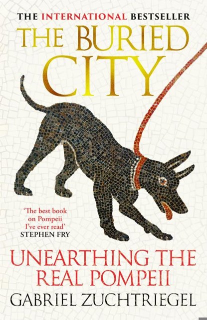 The Buried City, Gabriel Zuchtriegel - Paperback - 9781399741729