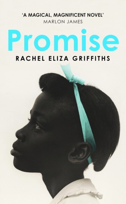 Promise, Rachel Eliza Griffiths - Gebonden - 9781399809818