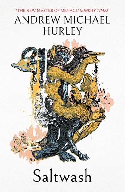 Saltwash, Andrew Michael Hurley - Paperback - 9781399817554