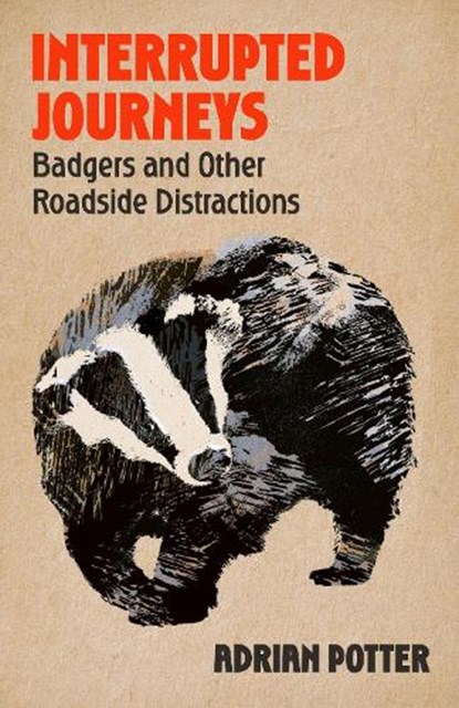 Interrupted Journeys, Adrian Potter - Gebonden - 9781399822404