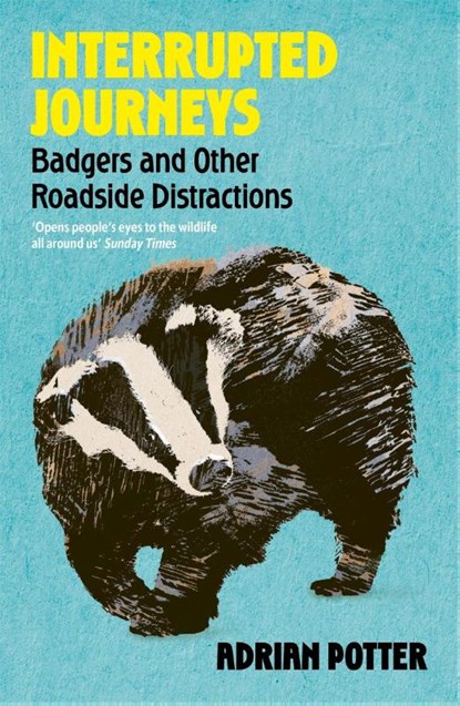 Interrupted Journeys, Adrian Potter - Paperback - 9781399822411
