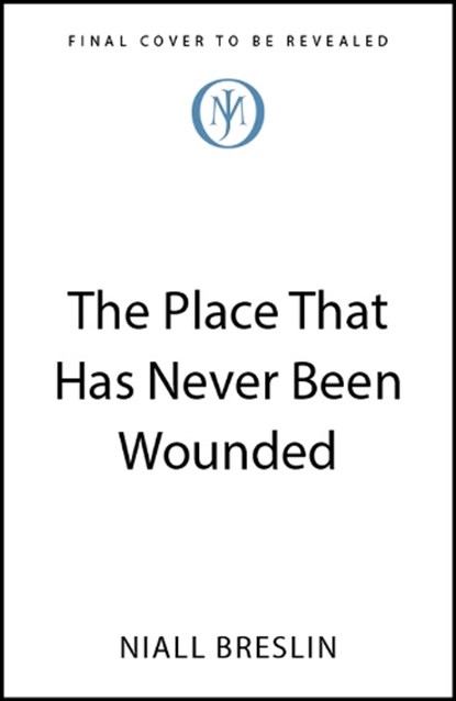 The Place That Has Never Been Wounded, Niall Breslin - Paperback - 9781399823685