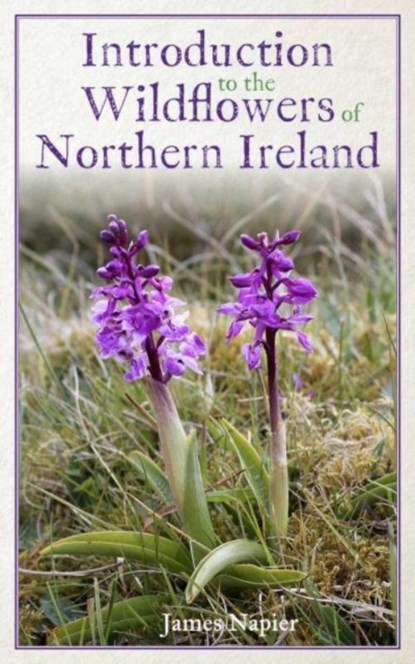 Introduction to the Wildflowers of Northern Ireland, James Napier - Paperback - 9781399928977