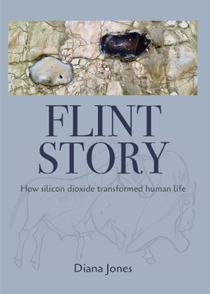 Flint Story, Diana Jones - Paperback - 9781399938662