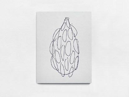 Works On Nature, Julie Nelson - Gebonden - 9781399980388