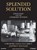 Splendid Solution, KLUGER,  Jeffrey - Overig - 9781400101498