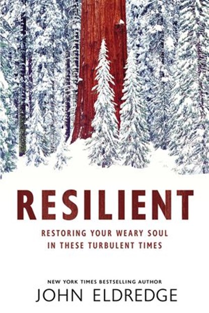 Resilient, John Eldredge - Ebook - 9781400208685