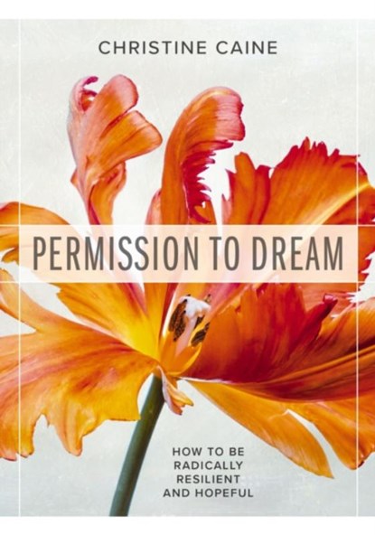 Permission to Dream, Christine Caine - Paperback - 9781400336876