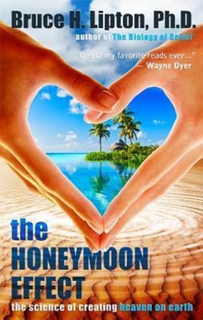 Lipton, B: Honeymoon Effect, Bruce H Lipton - Paperback - 9781401923891