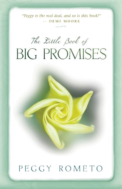 Little Book of Big Promises, Peggy Rometo - Paperback - 9781401924539
