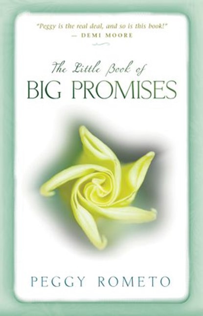 The Little Book of Big Promises, Peggy Rometo - Ebook - 9781401928681