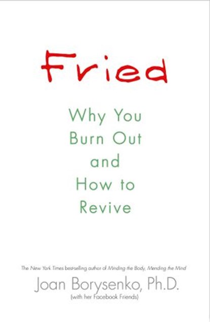 Fried, Joan Borysenko PhD - Ebook - 9781401929510