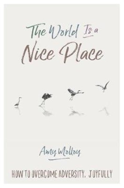 The World Is a Nice Place, Amy Molloy - Paperback - 9781401950873