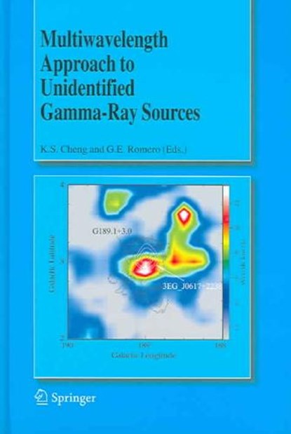 Multiwavelength Approach to Unidentified Gamma-Ray Sources, CHENG,  K.S. ; Romero, Gustavo E. - Gebonden - 9781402032141