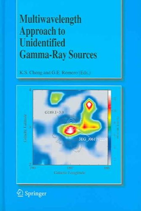 Multiwavelength Approach to Unidentified Gamma-Ray Sources