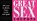 Great Sex Coupons, Sourcebooks - Paperback - 9781402208157