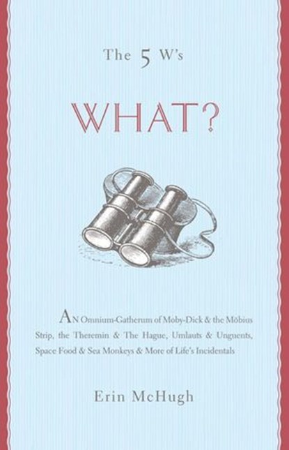 The 5 W's: What?, Erin McHugh - Ebook - 9781402792113