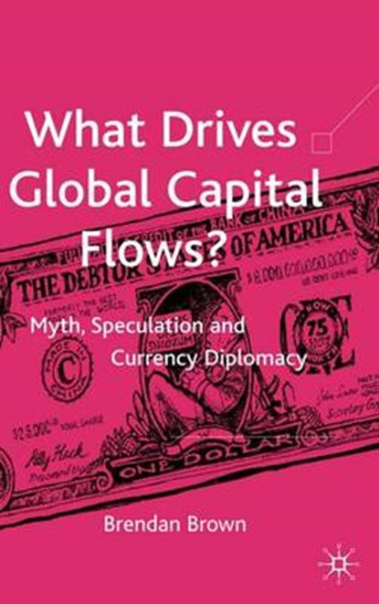 What Drives Global Capital Flows?, BROWN,  B. - Gebonden - 9781403947574