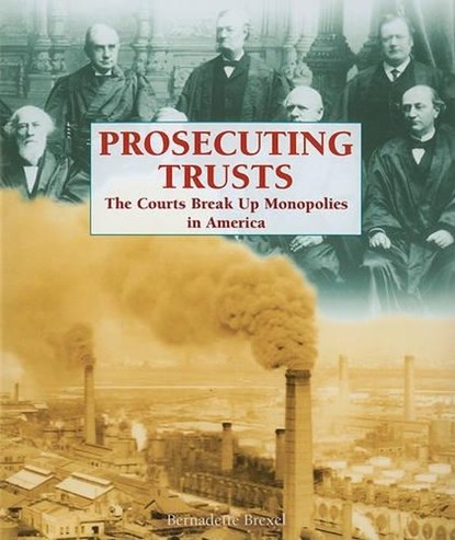Prosecuting Trusts, BREXEL,  Bernadette - Paperback - 9781404208575