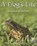 A Frog's Life, MURPHY,  Patricia J. - Gebonden - 9781404233348